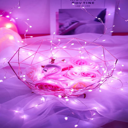 WinterWonderGlow™ LED koperen lichtsnoer