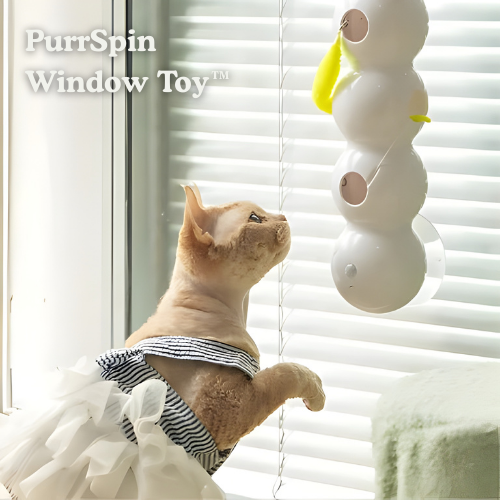 PurrSpin hračka™ – Premení nudu na čistú lovnú zábavu