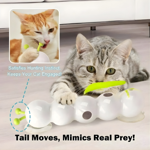 PurrSpin hračka™ – Premení nudu na čistú lovnú zábavu