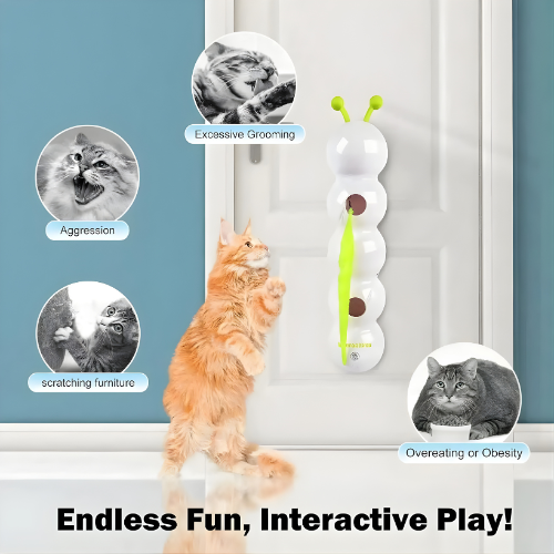PurrSpin hračka™ – Premení nudu na čistú lovnú zábavu