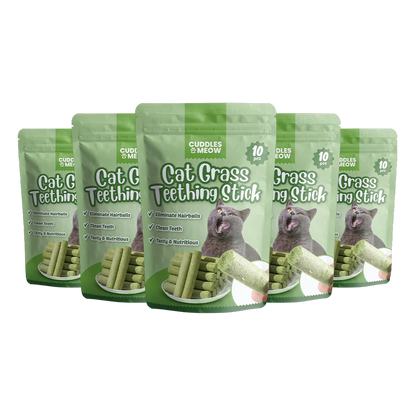 Cat Grass Teething Sticks