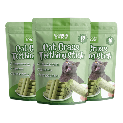Cat Grass Teething Sticks