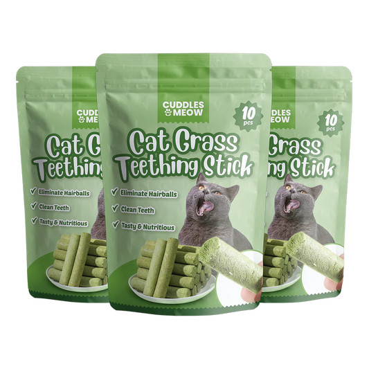 Cat Grass Teething Sticks